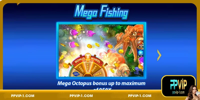 A brief overview of Mega Fishing at PPVIP