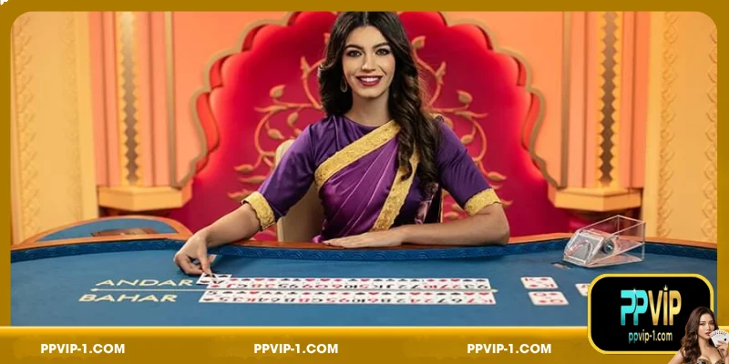 Andar Bahar Betting Strategies at PPVIP