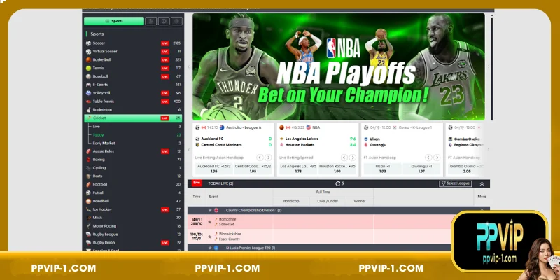 Complete Overview of Cricket Betting
