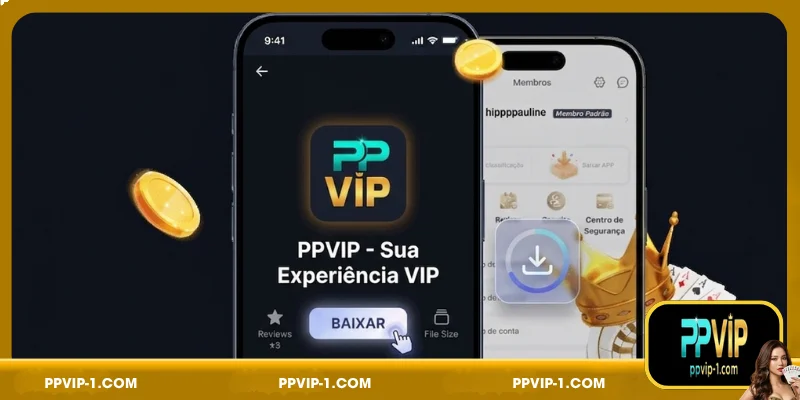 Important conditions when DOWNLOADING PPVIP