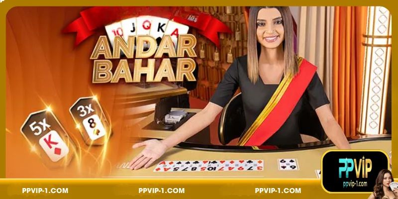 Key Highlights of Andar Bahar