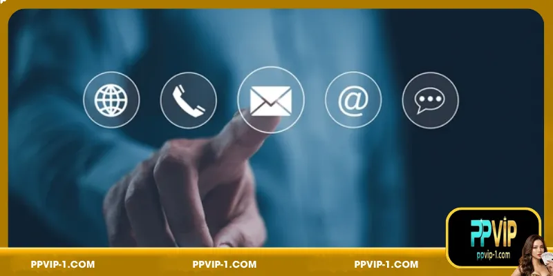 Official PPVIP direct contact channels