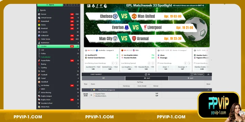 Reasons PPVIP Members Prefer Cricket Betting
